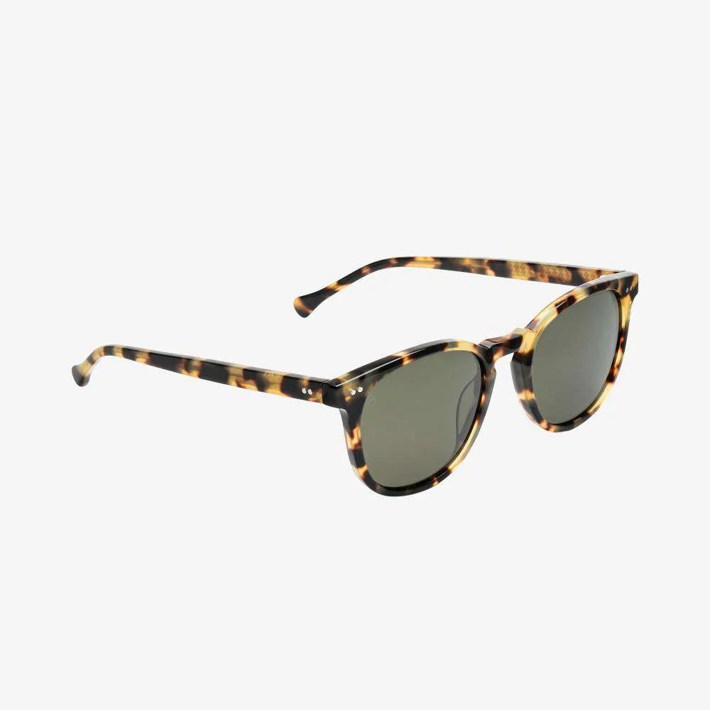 Electric Oak Gloss Spotted Tortoise / Grey Polarized - Image 3